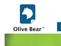 Olive Bear