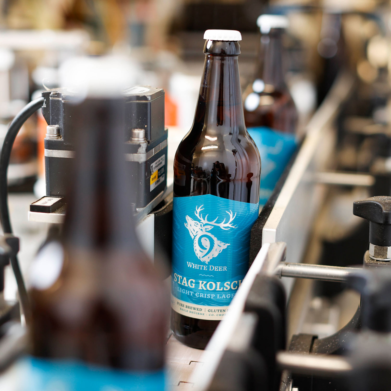9-white-deer-brewery-jamjo-case-study-3